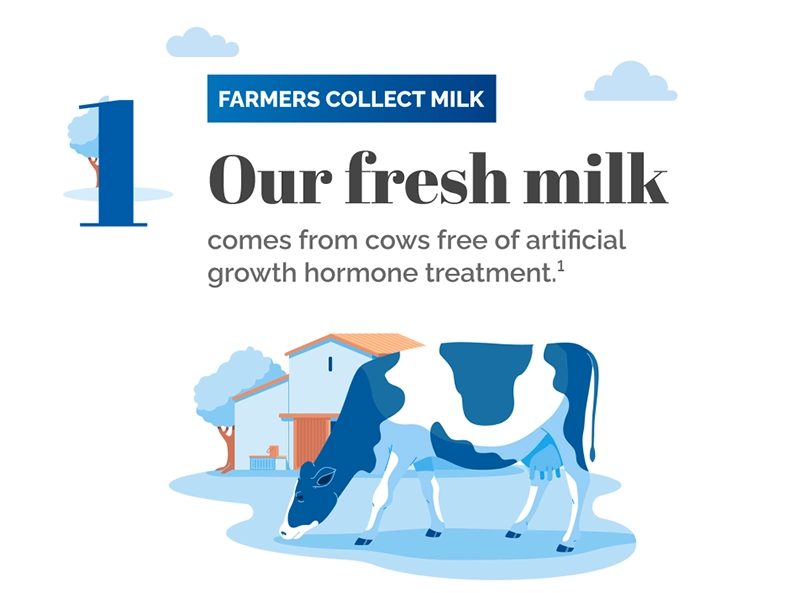 1. Farmers Collect Milk: Our fresh milk comes from cows free of artificial growth hormone treatment.