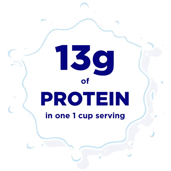 13g of Protein