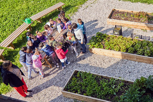 MiColtivo, attività didattica a contatto con la natura organizzata da BAM per la comunità