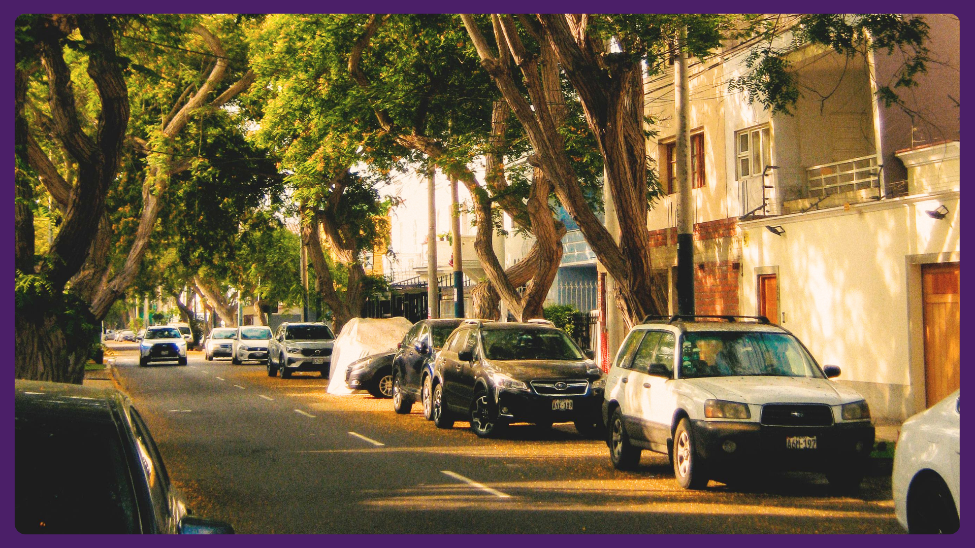 cars-on-street-with-homes