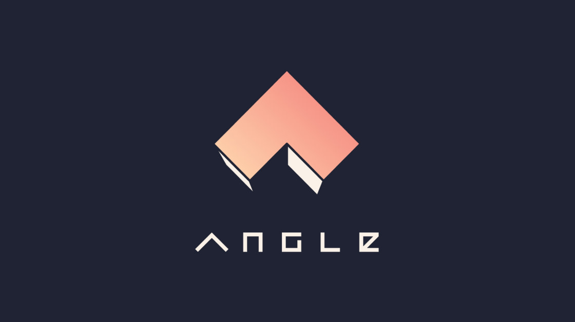 Cover image for Angle