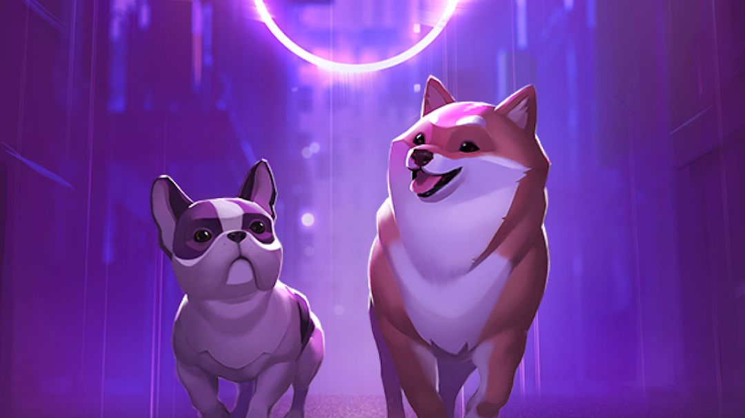 Cover Image for Dogamí 