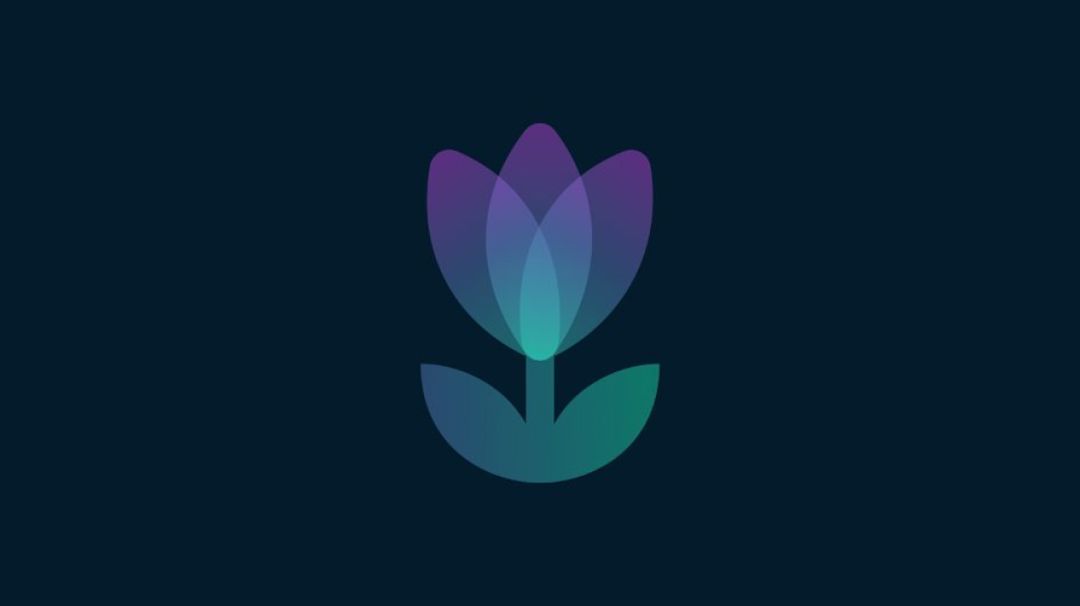 Cover Image for Tulip
