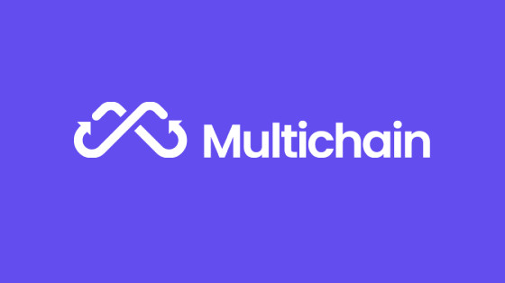 Cover image for Multichain