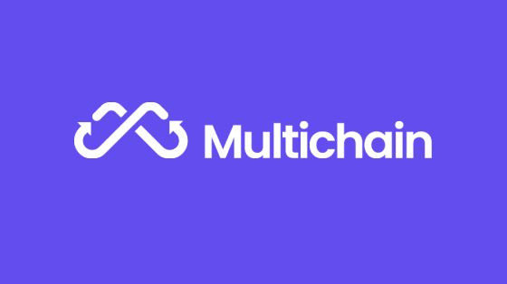 Cover Image for Multichain