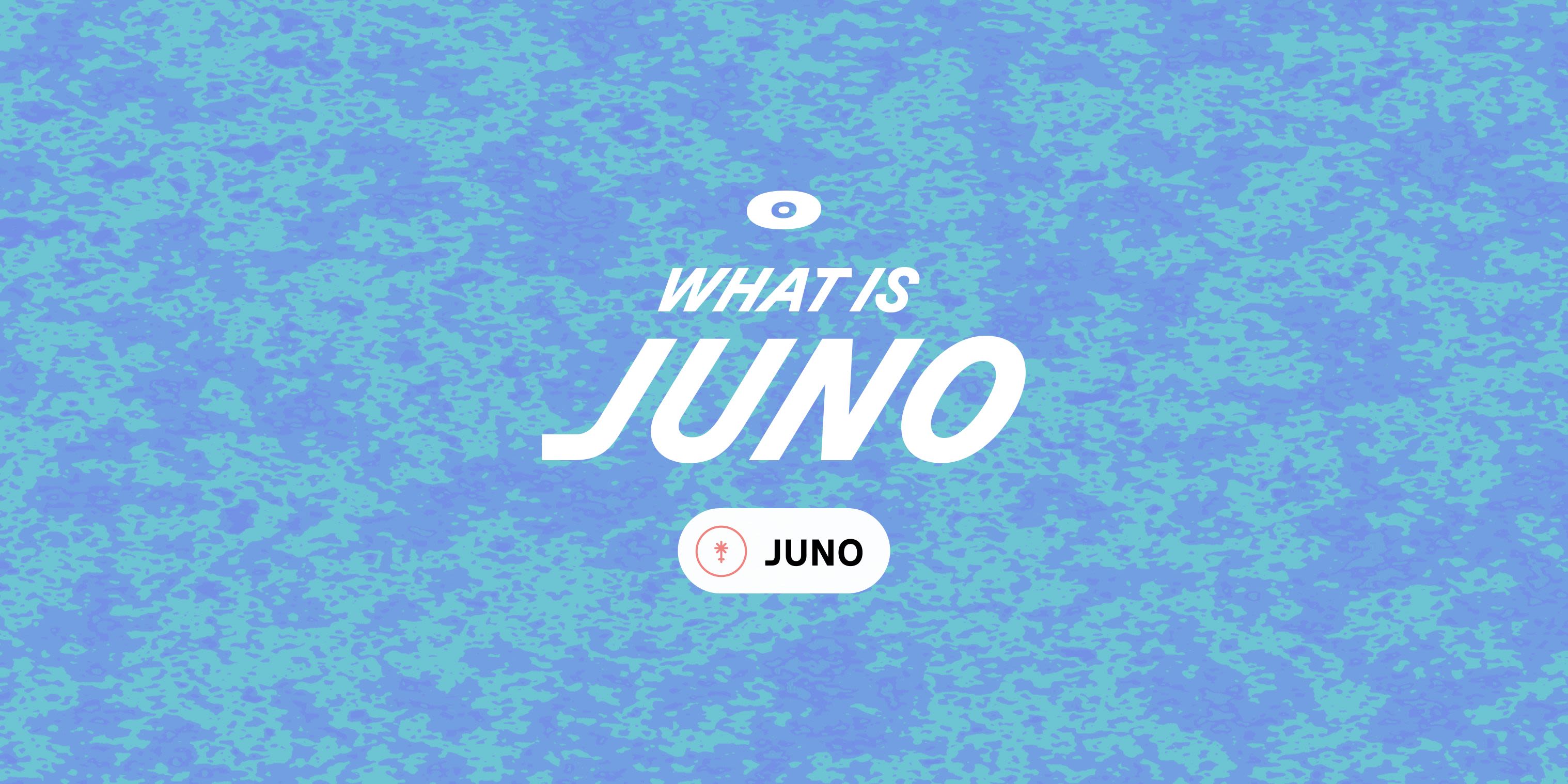 Cover image for What is Juno?