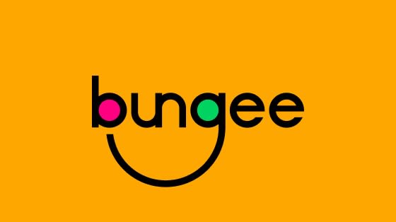 Cover Image for Bungee