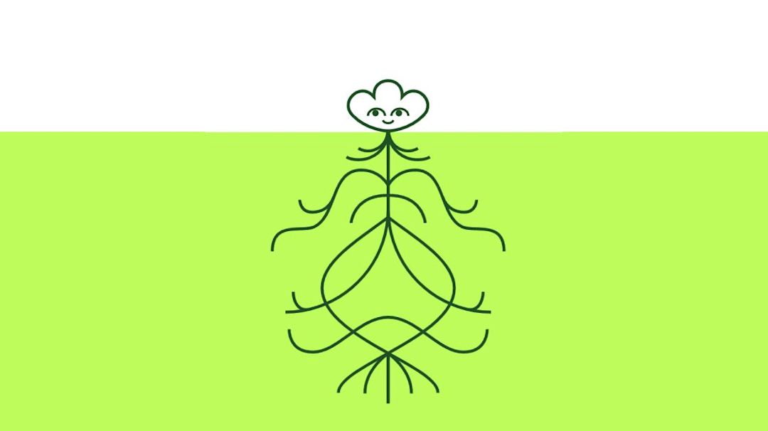 Cover Image for Lens Under the Lens