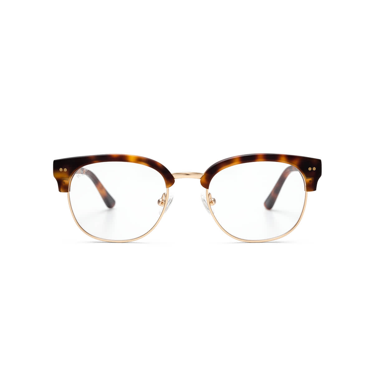 Glendale Matt Tortoise_thumbnail_1