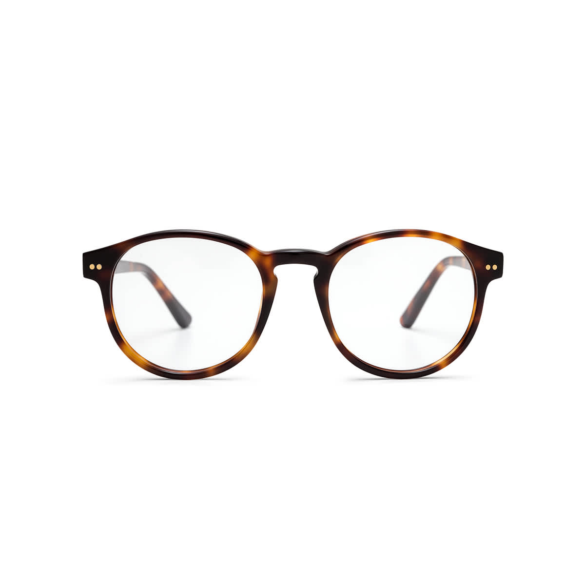 Marais Shine Tortoise_thumbnail_1