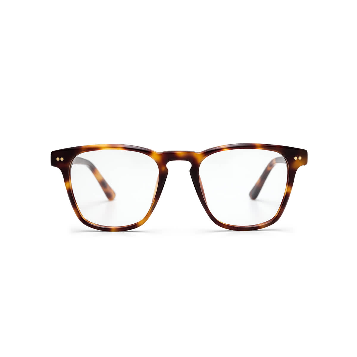 Carlton Shine Tortoise_thumbnail_1