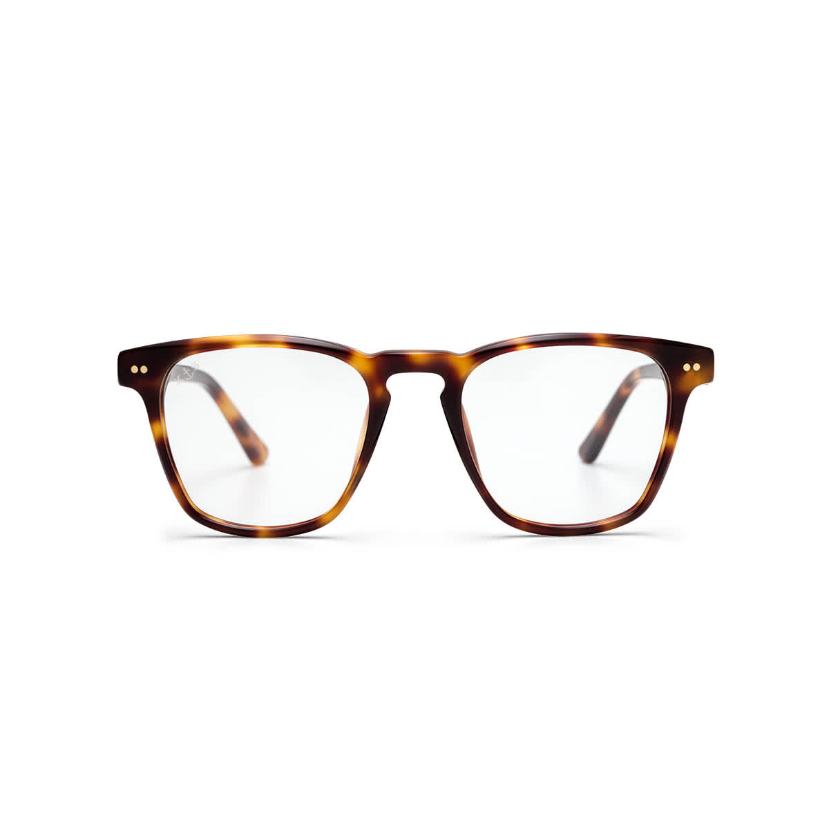 Carlton Shine Tortoise_thumbnail_1