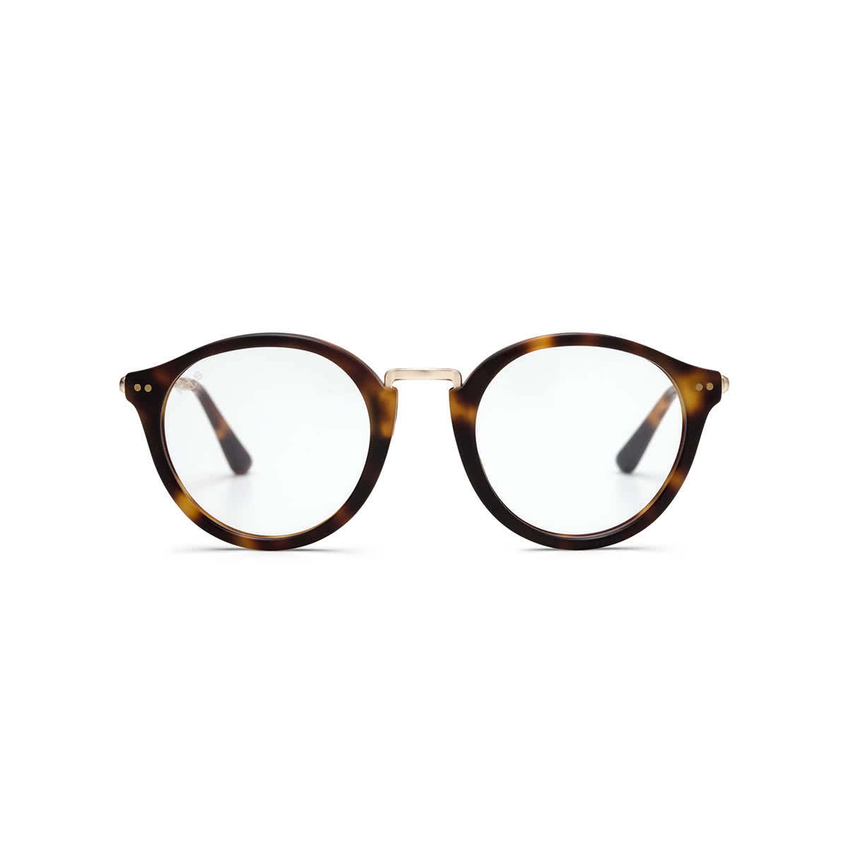 Bondi Matt Tortoise_thumbnail_1