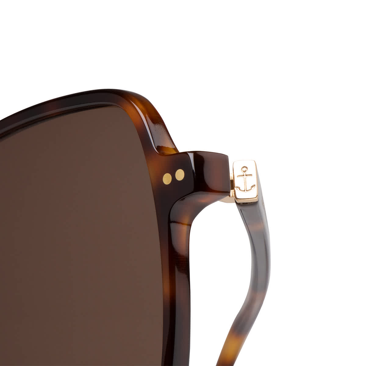 Toulouse Tortoise Brown_thumbnail_5