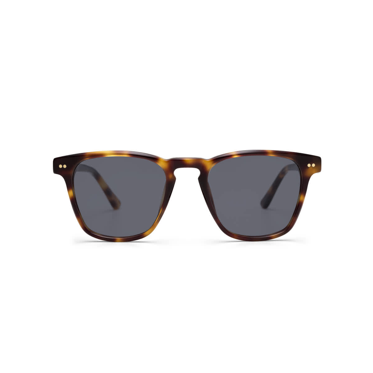 Carlton Tortoise Black_thumbnail_2