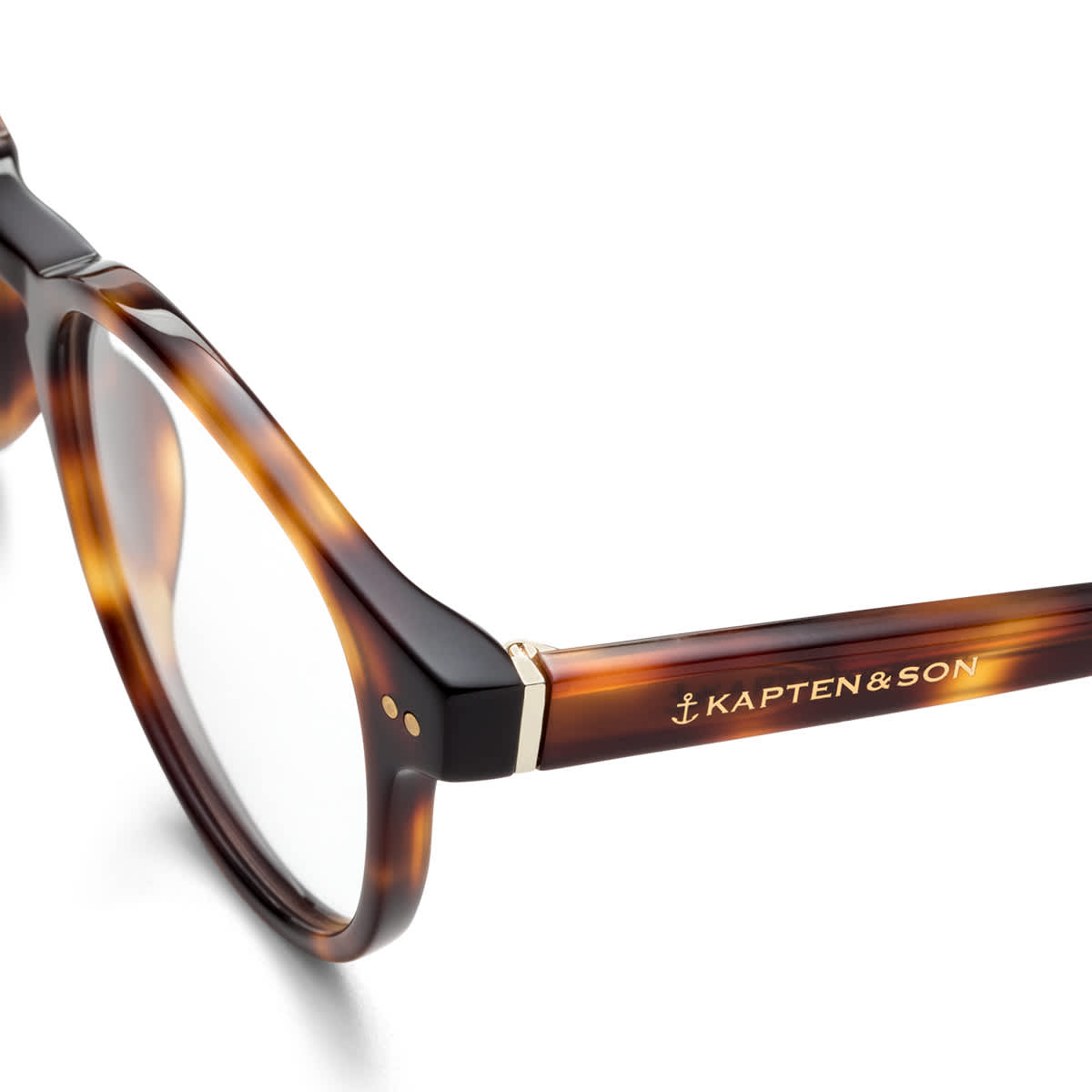 Marais Shine Tortoise_thumbnail_2