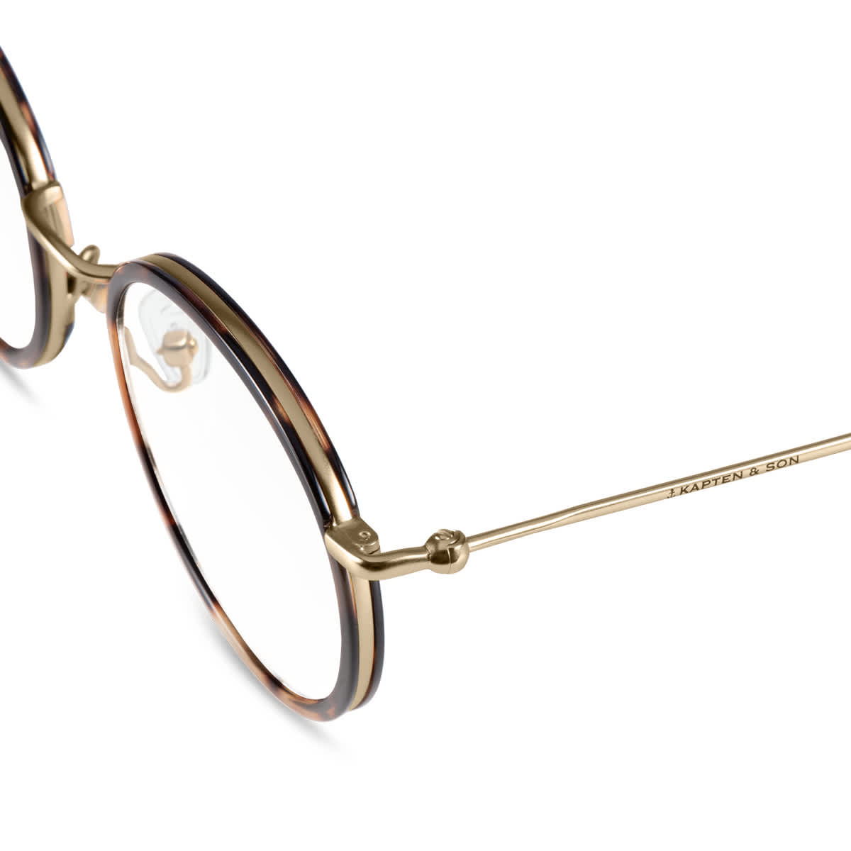 Amsterdam Umber Tortoise_thumbnail_2