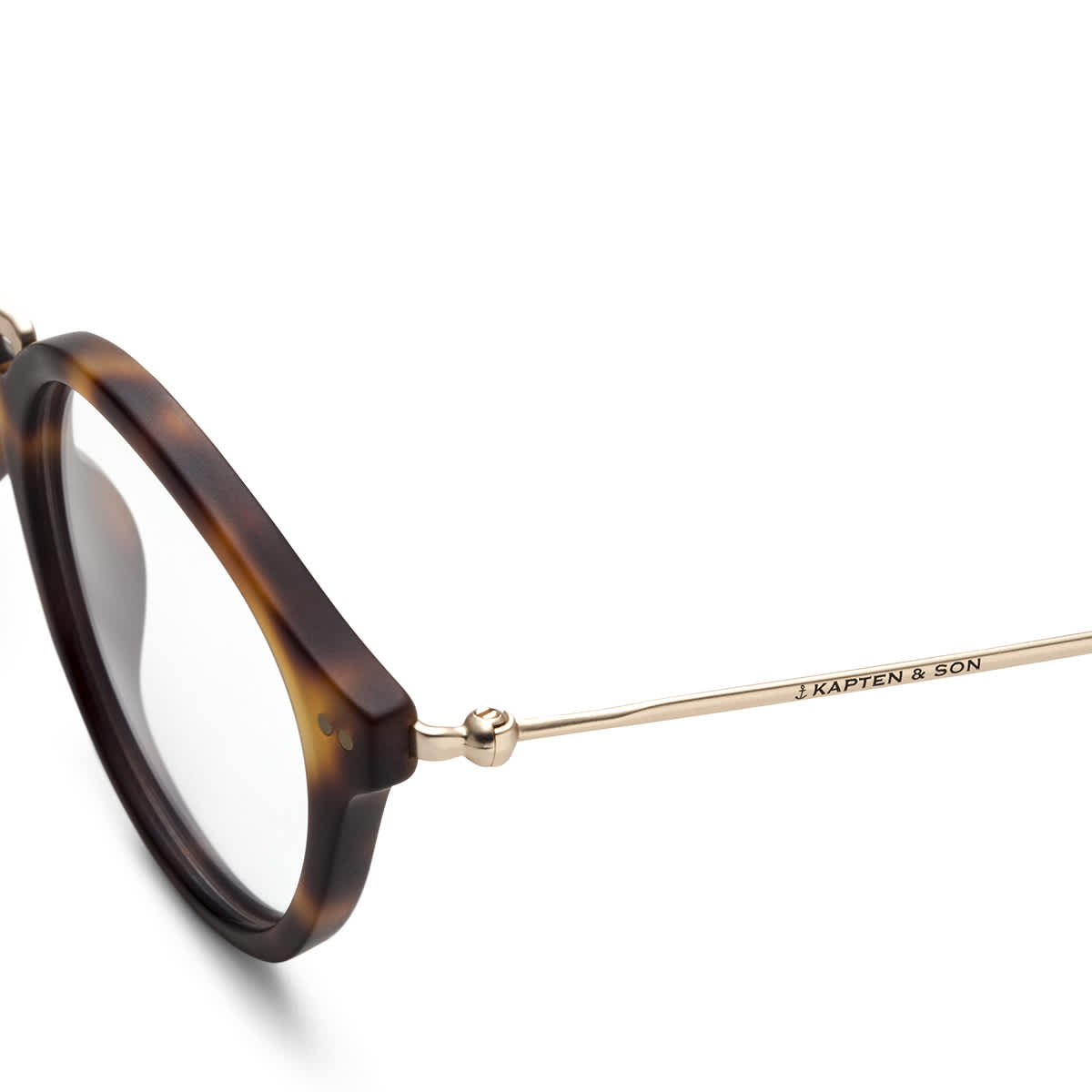 Bondi Matt Tortoise_thumbnail_2