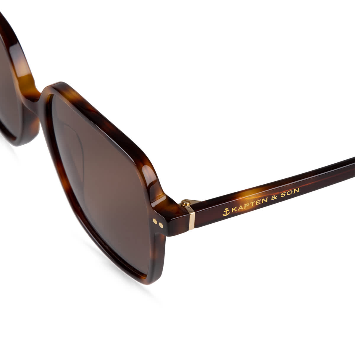 Toulouse Tortoise Brown_thumbnail_4