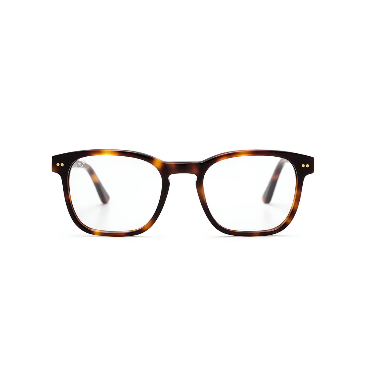 Pasadena Shine Tortoise_thumbnail_1