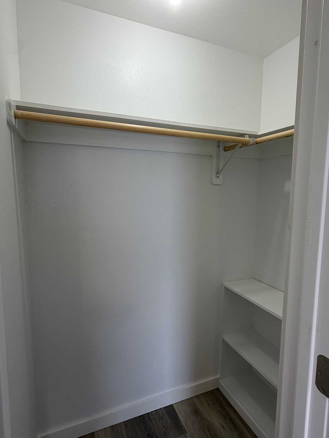 IMG 4650