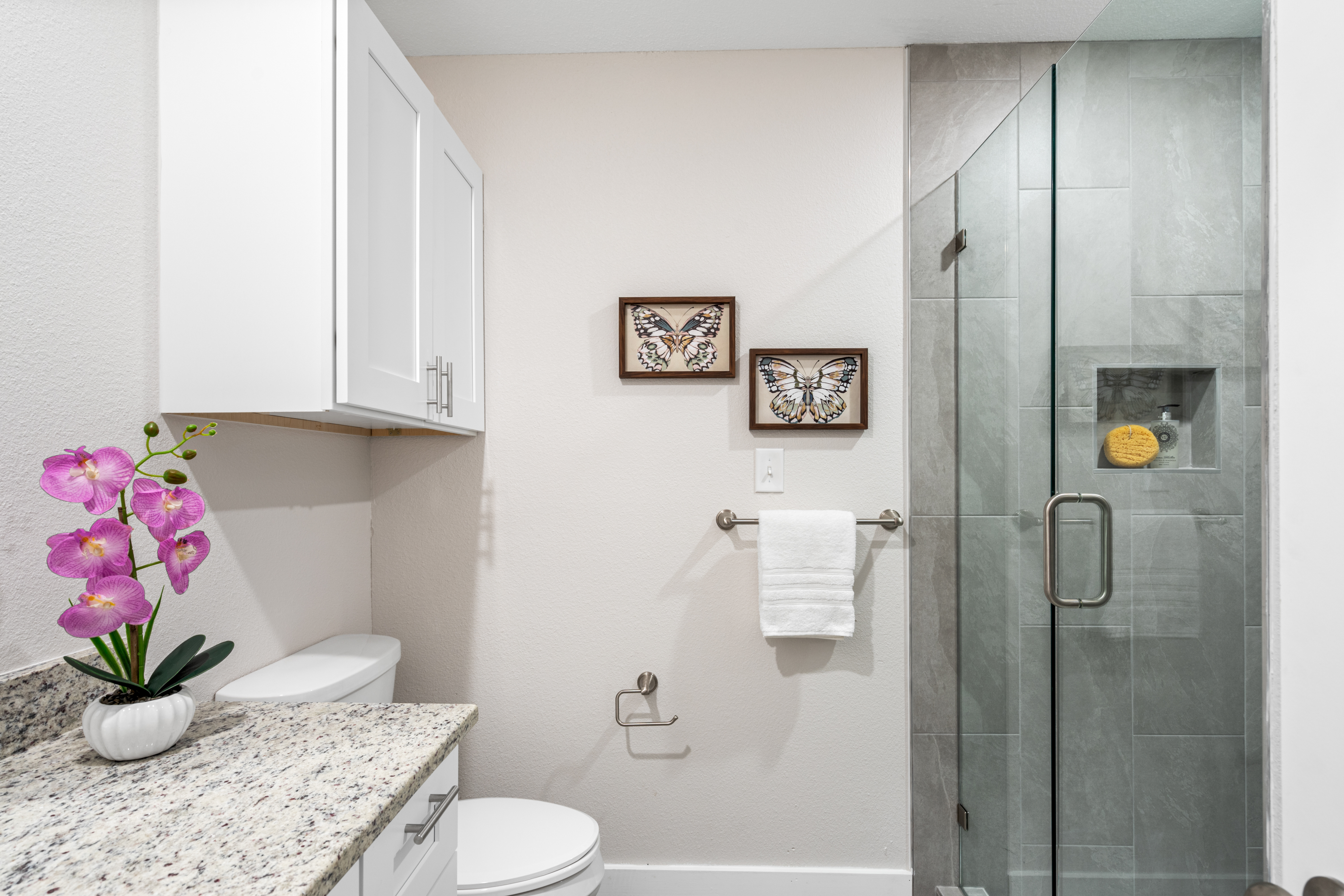 Town Branch West D-4 21