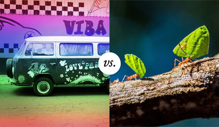 Hippies, Ants, and Healthy Microservices