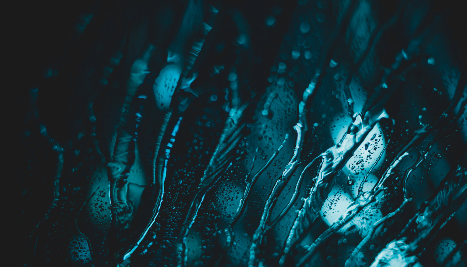 Lightstep Adopts W3C Trace Context