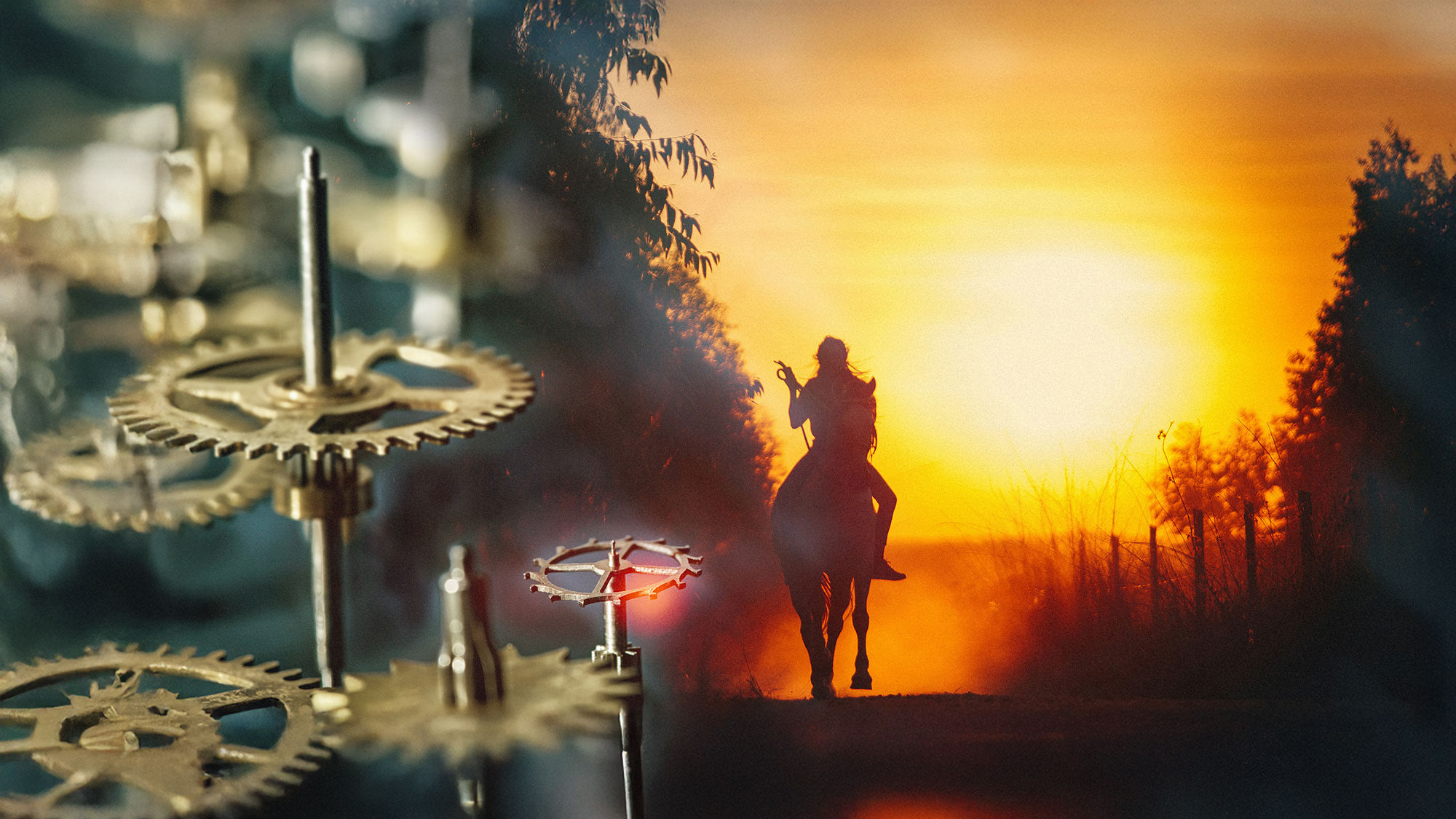 Allocation d'actifs 2026 : dompter le Cheval de feu