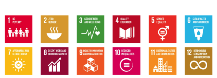 sustainable development goals explained