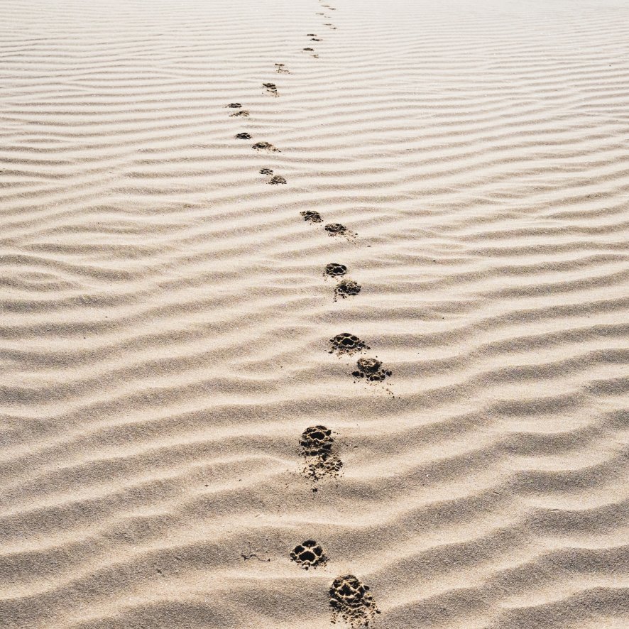 voeten zand