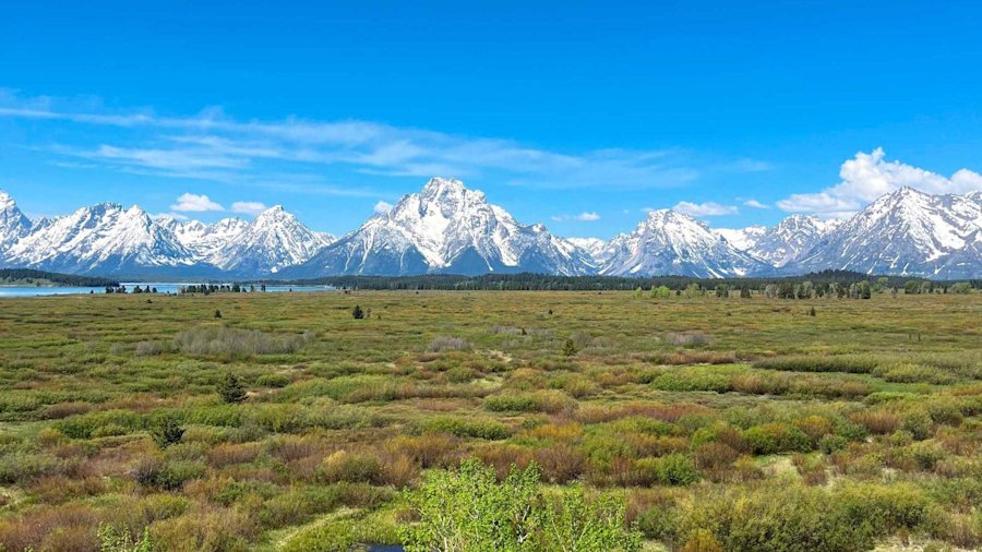 Monthly House View July 2025: looking ahead to Jackson Hole