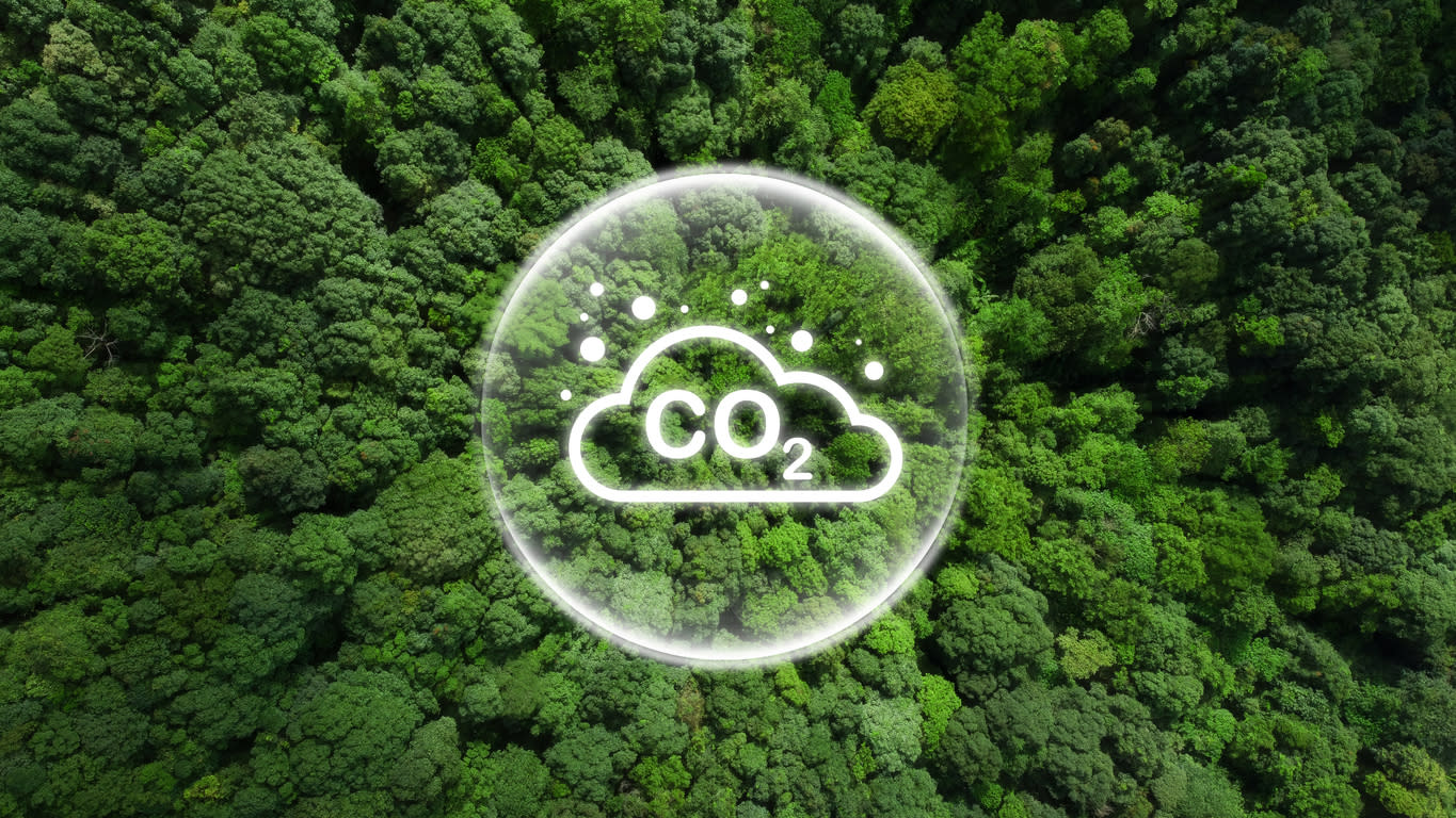 A cloud surrounded by trees, illustrating the carbon footprint of software development.