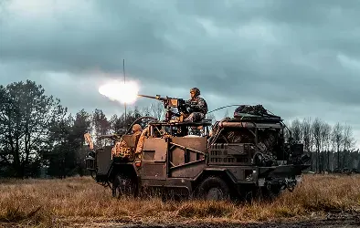 Mutiny and / or Coup D’etats Counterinsurgency  