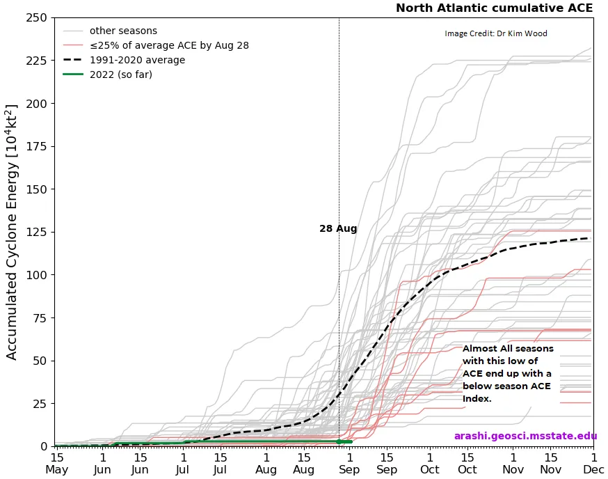 Blog_09012022_KimWood