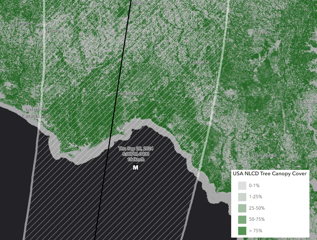 BMS_TropicalUpdate_09252024_TreeCover