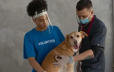 canada-industries-animal-healthcare