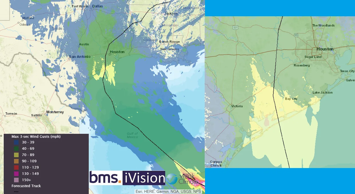 BMS_TropicalUpdate_07062024_BMSiVision