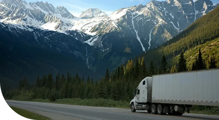 Competitive and creative solutions.