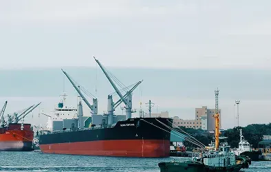 Primary Marine Liabilities