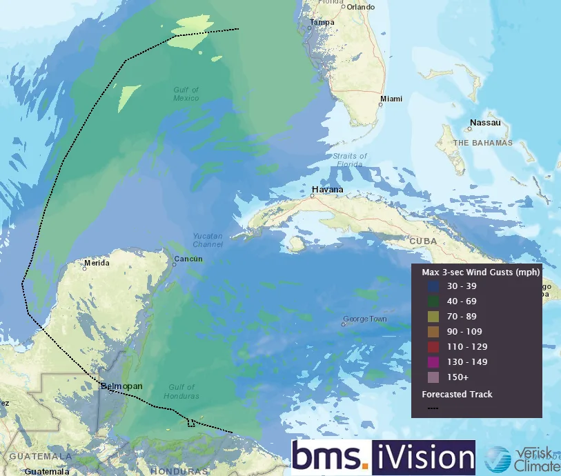 BMS_TropicalUpdate_11132024_iVision