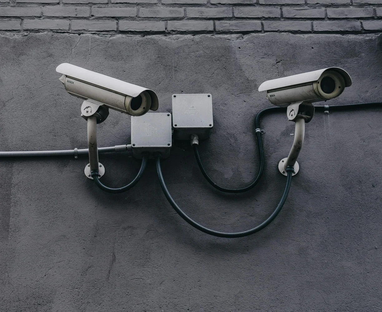 Insights that drive decisiveness.