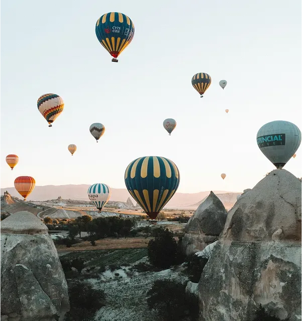 BMS launched  in Turkey.