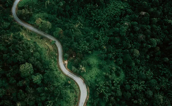 Protect, build resilience, and  a better world.