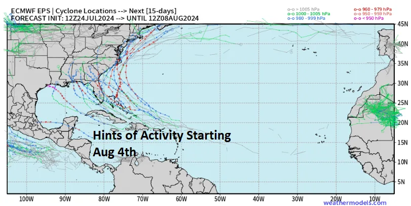 BMS_TropicalUpdate_07252024_ECMWF