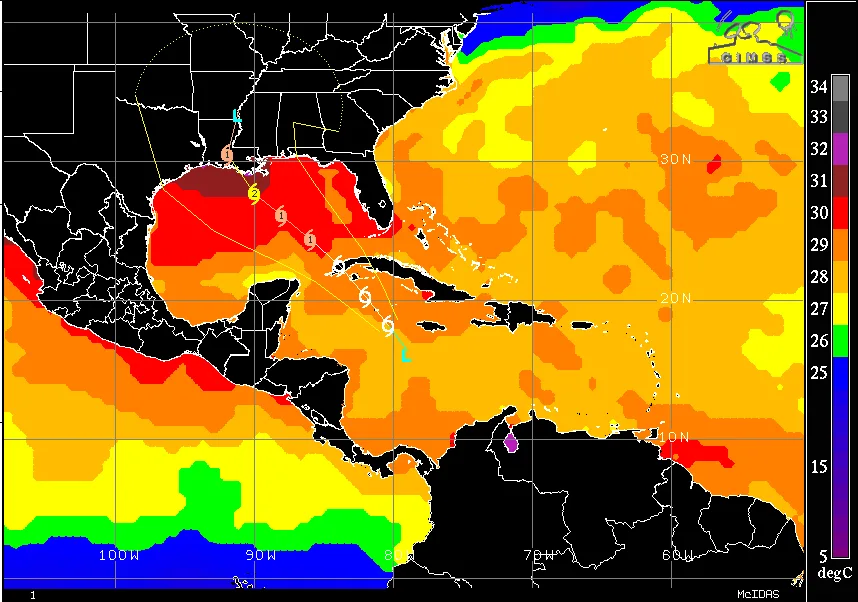 BMSTropicalUdpate_WarmWater
