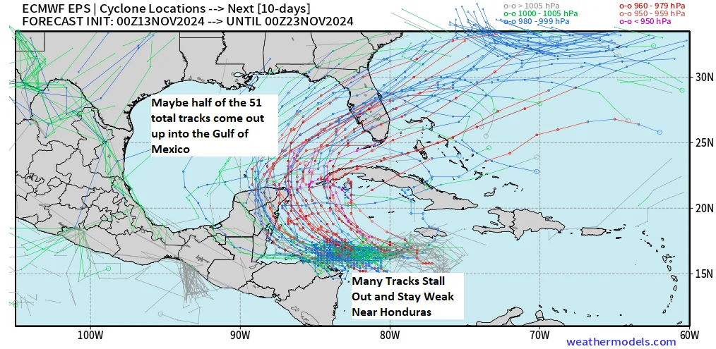BMS_TropicalUpdate_11132024_ECMWF