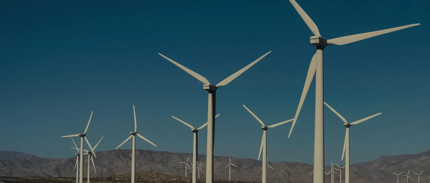 We look beyond risk to resilience.