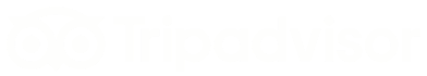 Tripadvisor icon