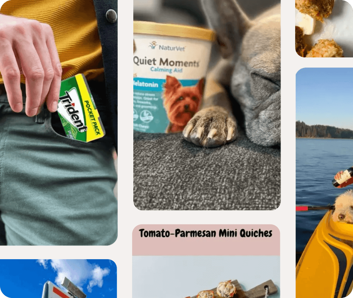 TikTok screenshots of Later influencer marketing campaigns with brand partnerships such as Trident, NaturVet, 711, and more